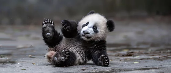 Fotobehang Playful Panda Cub Tumbling on Ground © INsprThDesign