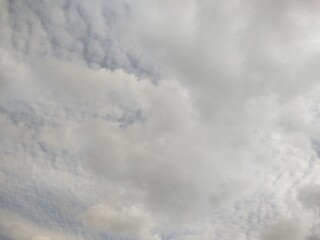 東京のそら(24.2.29)
