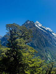 , Fiordland National Park, Fiordland, New Zealand