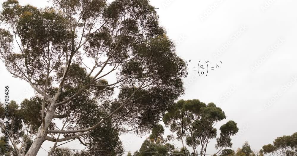 Poster animation of layers of mathematical formulae and equations over trees and sky