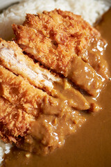 Pork cutlet with delicious Curry sauce on a plate 