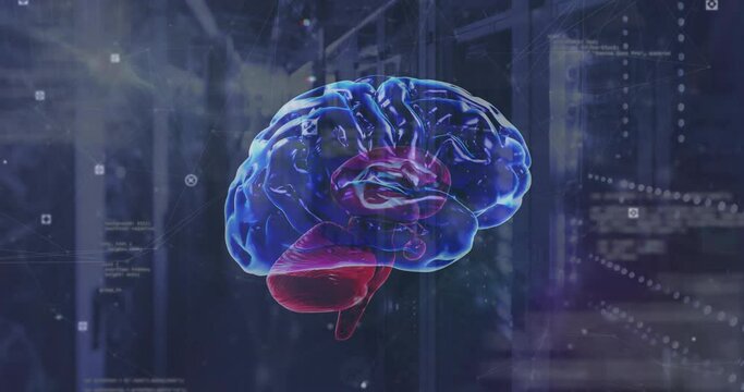 Animation of rotating brain over network and processing data on dark background