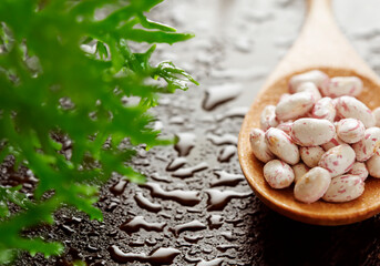 Fototapeta premium Beans with water droplets on a wooden spoon
