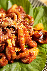 Korean food ,Braised Spicy Seafood and Octopus