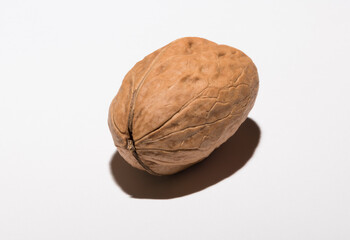 Walnuts are rounded, single-seeded stone fruits of the walnut tree.