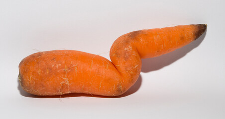 Crooked carrot is a mutant. Vegetable on a white background.