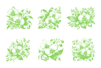 vector set of orchid flower line art style - green (artwork 2)