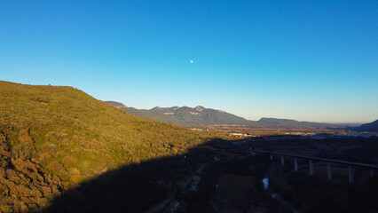 forest on the sunset