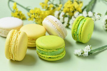 Sweet macaroons and beautiful flowers on green background