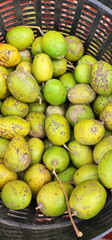 Spondias Dulcis or Jew's plum, Otatheite apple. The fruit is oval or fusiform. The fruit is greenish-yellow when mature. When cooked it is orange. The flesh is white and green. Sweet and sour taste,

