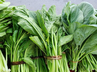 Kale and Chinese Cabbage are harvested from organic farms. Chinese kale has thick, dark green...
