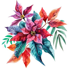 Radiant Watercolor Poinsettia Clipart