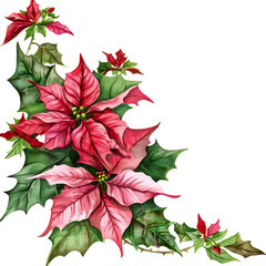 Elegant Watercolor Poinsettia Clipart