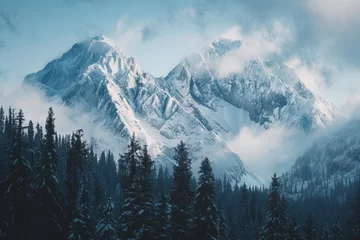 Fotobehang Temperate  Boreal forest, taiga, winter ,snow forest on the mountain scene of hill, Pine forest, fog, layers of hills, biome taiga landscape of Featured plants ,Fir, Spruce, hemlock, latch,Wide angle © Sittipol 