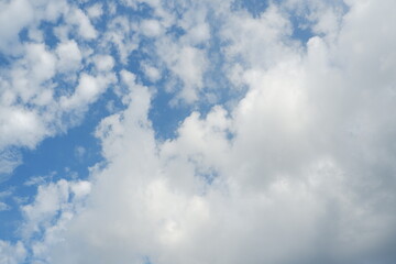 Fototapeta premium blue sky with cloud. natural background with copy space.