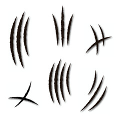 Claws scratches isolated on white background. Claws scratching animal . Vector
