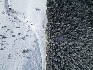 Moitié neige et moitié sapins