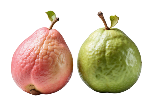 Guava isolated on white background