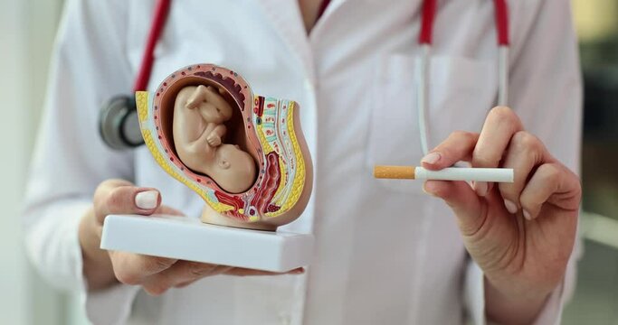 Gynecologist holds cigarette warning about harmful effects of smoking during pregnancy