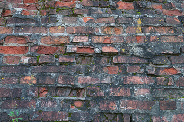 Weathered brick wall surface
