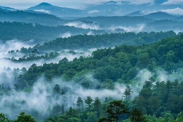 Obraz premium Mountain forest enveloped in morning fog Creating a mystical and serene landscape Perfect for exploring the beauty and mystery of nature