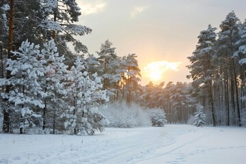 Winter scene with a snow-covered pine forest and a picturesque sunset