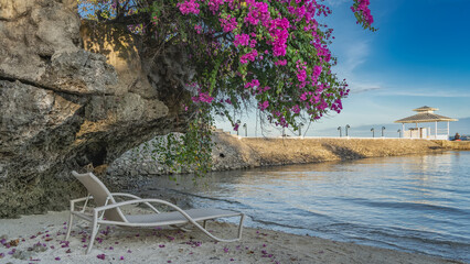 A chaise longue stands on the beach by the cliff. A blooming purple bougainvillea leaned over the...