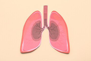 Paper lungs on beige background