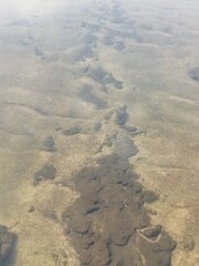 浅瀬