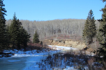 Frozen Creek, Whitemud Park, Edmonton, Alberta