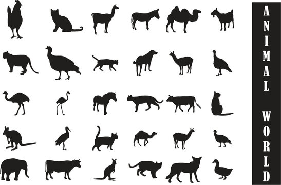Collection of farm animals, silhouettes isolated on white. Livestock and poultry icons. Editable vector, easy to change color or manipulate. World animal day. eps 10