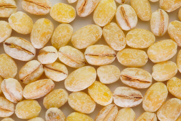 Closeup macro shot of pearl barley concept background