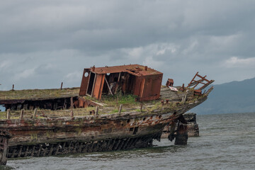Fototapeta na wymiar The old Whakatiiwai Shipwreck on the Seabird Coast on the western shore of the Firth of Thames in the Hauraki District, New Zealand.