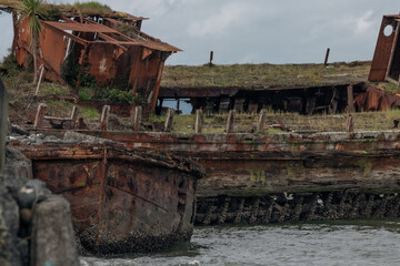 The old Whakatiiwai Shipwreck on the Seabird Coast on the western shore of the Firth of Thames in...