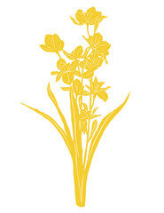 Yellow daffodil floral pattern illustration