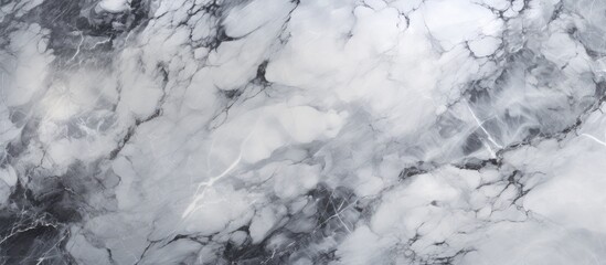 A close-up view of a black and white marble texture background, showcasing intricate patterns and veins running throughout the surface.