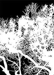 ramas, arboles, siluetas, vegetacion, roble, bosque, paisaje, vector, hojas, abstracto, sauce, tronco, malesa, pegatina, follaje