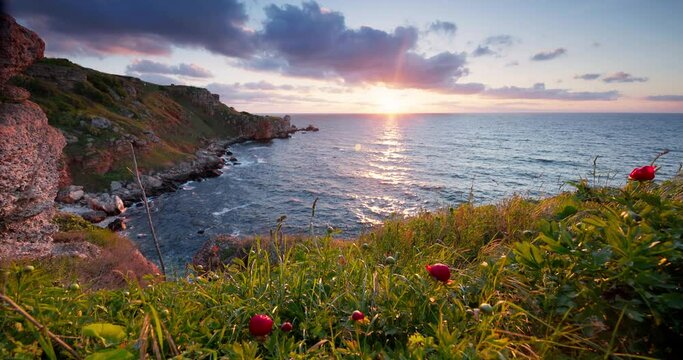 Bulgarian nature landscape of sunrise over rocky cliffs beach shore and blooming red peonies poppy, Yaylata, Kamen bryag, Shabla, Bulgaria