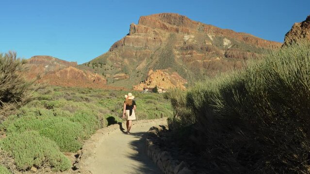 Attractive woman in summer clothes walking in Teide National park, back view