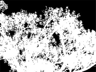 ramas, arboles, siluetas, vegetacion, roble, bosque, paisaje, vector, hojas, abstracto, sauce, tronco, malesa, pegatina