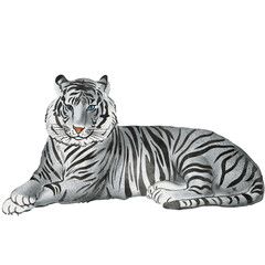 watercolor tiger painting clip art, animal wildlife illustration png