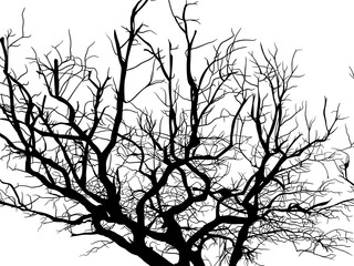 ramas, arboles, siluetas, vegetacion, roble, bosque, paisaje, vector, hojas, abstracto, sauce, tronco, malesa, pegatina