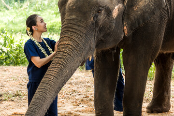 Thai woman in indigo costume feeling happy with friendly Asian elephant in elephant sanctuary,...