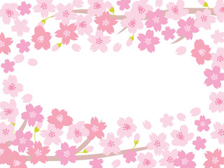 Obraz na płótnie Canvas 春に満開に咲いた桜の花のフレーム