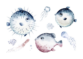 Set of sea animals. Blue watercolor ocean fish, turtle, whale and coral. Shell aquarium background. Nautical dolphin marine illustration, jellyfish, starfish - 747778004