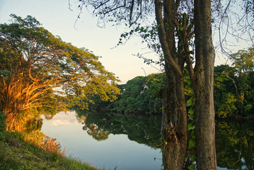 Landscape of river and bright trees and bushes at sunset