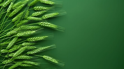 Top view of wheat on a green background.