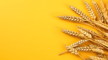 Top view of wheat on a yellow background. - obrazy, fototapety, plakaty
