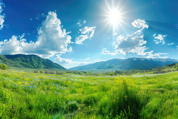 Sunny day on lush green field, perfect for nature backgrounds