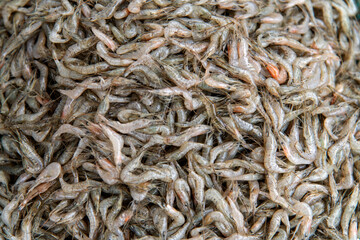 The heap of shrimps on sale in the market